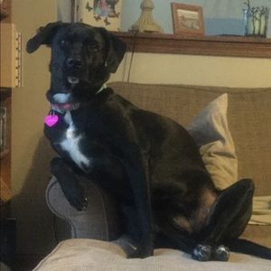 Meet your Posher, Lisa